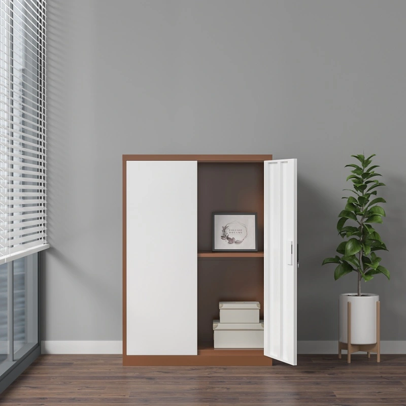 2-Door Steel Filing Cabinet+Application