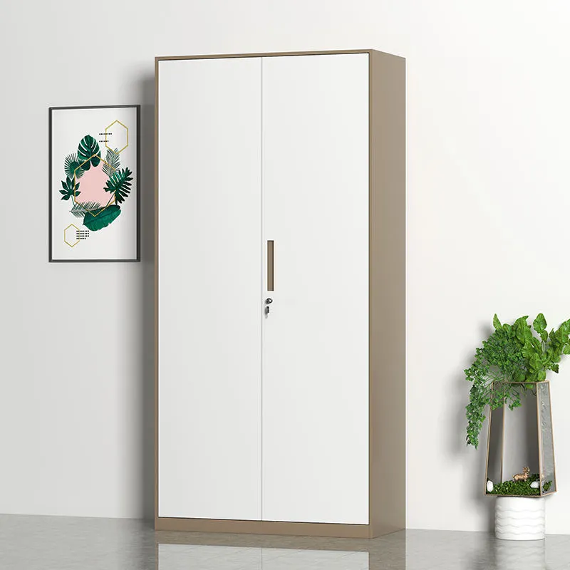 Steel Door File Cabinet+Application