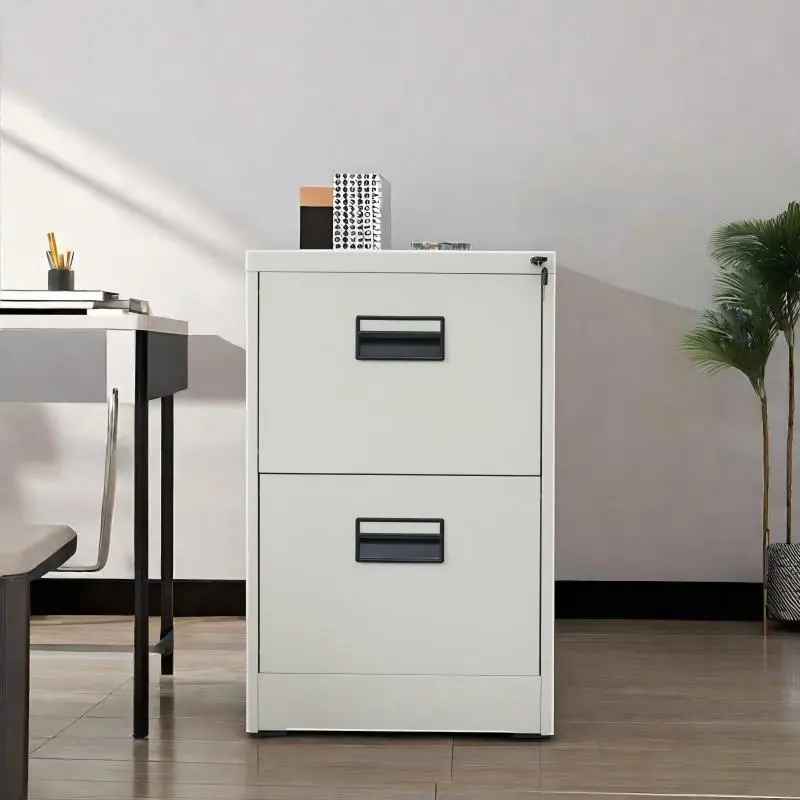  2-Drawer Vertical Steel File Cabinet+Application