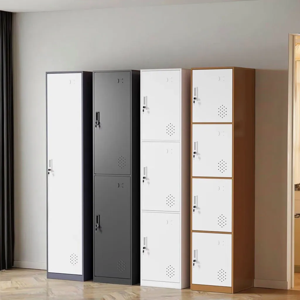 Single Column 5-door Steel locker+Application