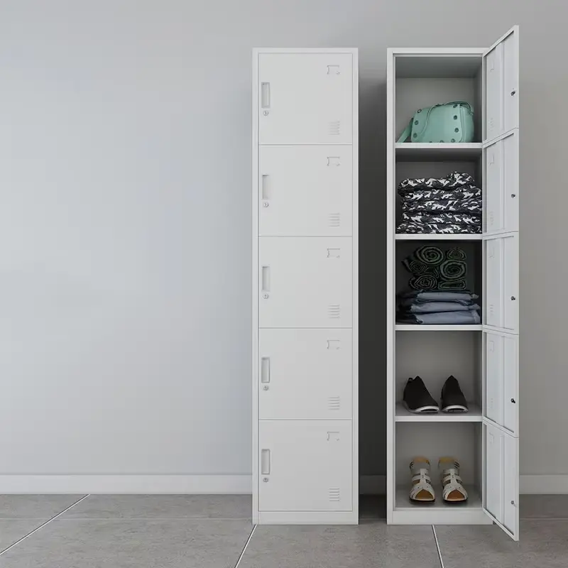 Single Column 5-door Steel locker+Application