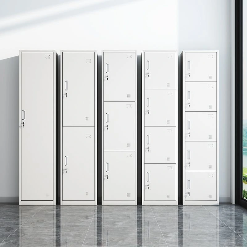 Single Column 2-door Steel locker-Application