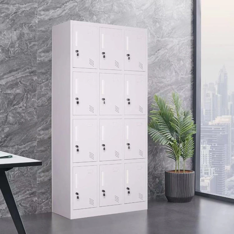 12 Door Steel locker+Application