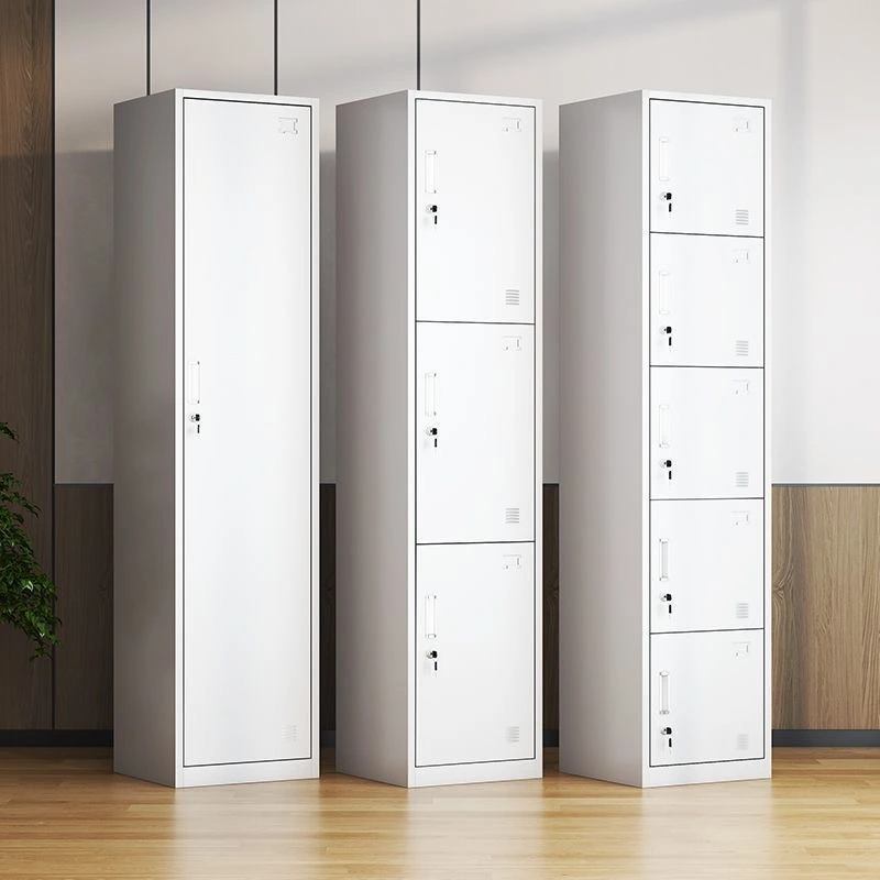 Single Column 6-door Steel locker+Application