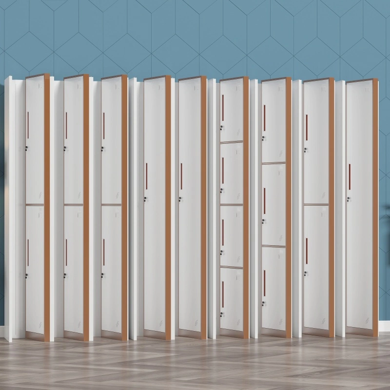 Single 3-Door Foldable Locker+Application