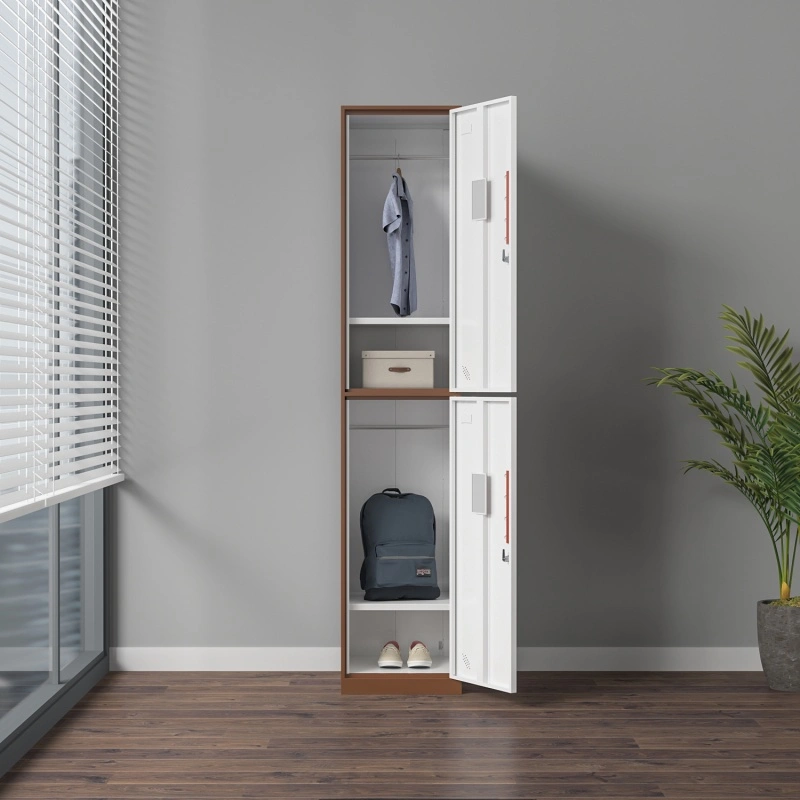 2 door metal locker+Application 2 door metal locker+Application