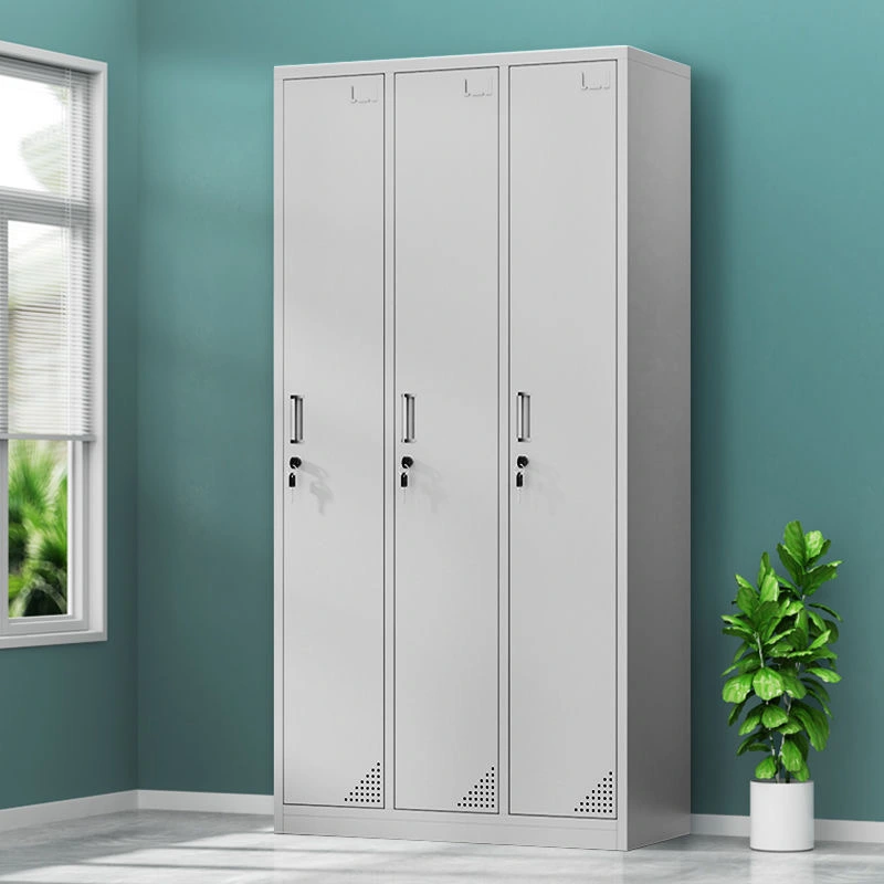 2 Door Steel Wardrobe+Application
