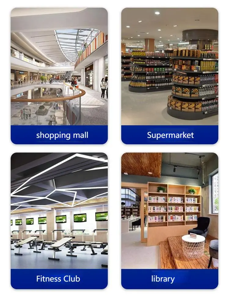 Electronic lockers+application