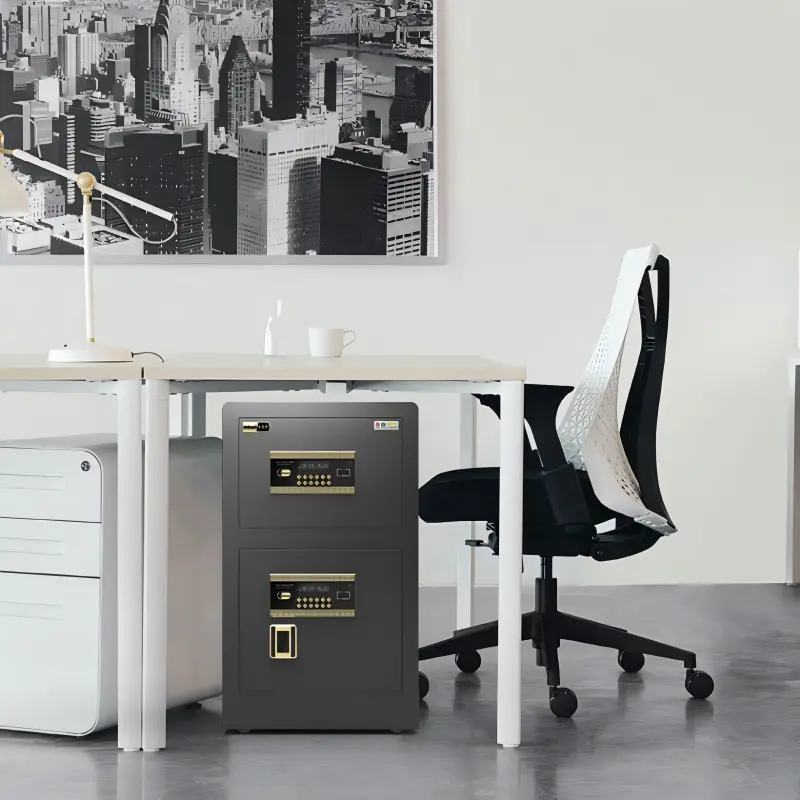 Two-Door Fingerprint Password Safe Cabinet+Application
