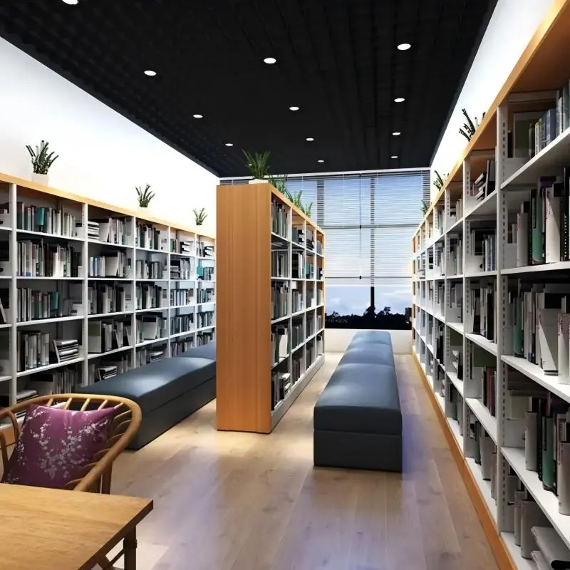 Double Sided Library Bookshelves+Application