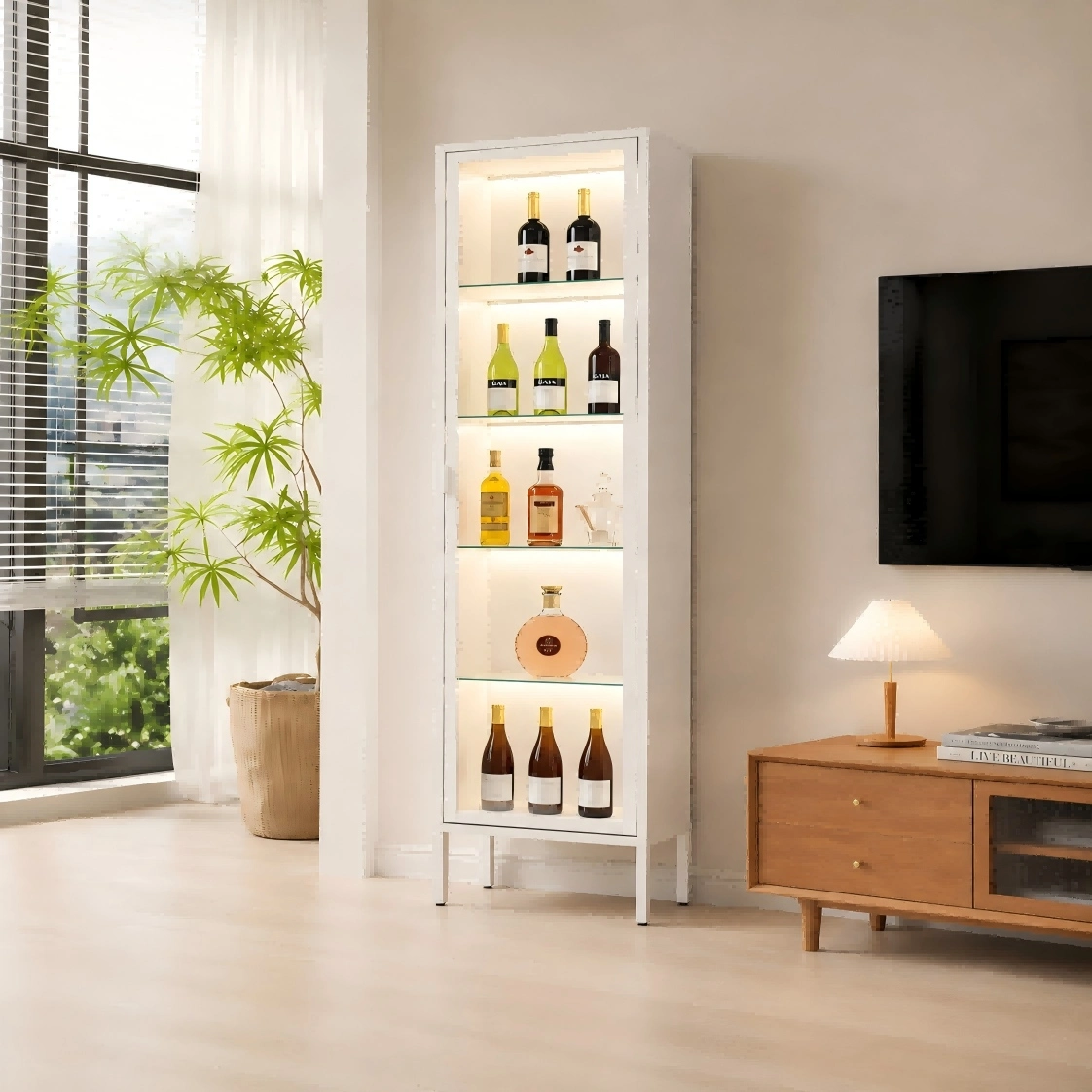 Tall Single Door Glass Display Cabinet Tall Single Door Glass Display Cabinet